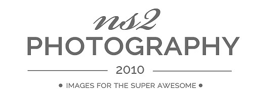 ns2photography-2014-logo-gray-mailchimp
