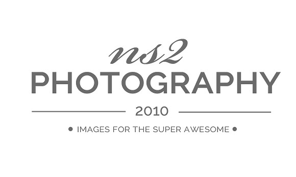 ns2photography-2014-logo-GRAY