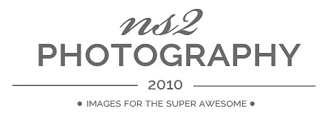 ns2photography-2014-logo-gray-splash