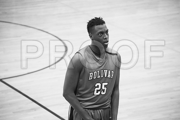 ns2-slideshow-BHCSBball-332